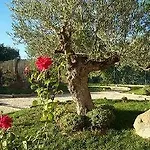 De Guara Hotell