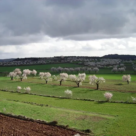 Hotel De Guara Bierge