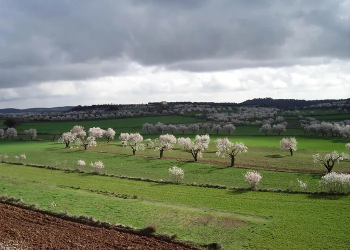 Hotell De Guara Bierge